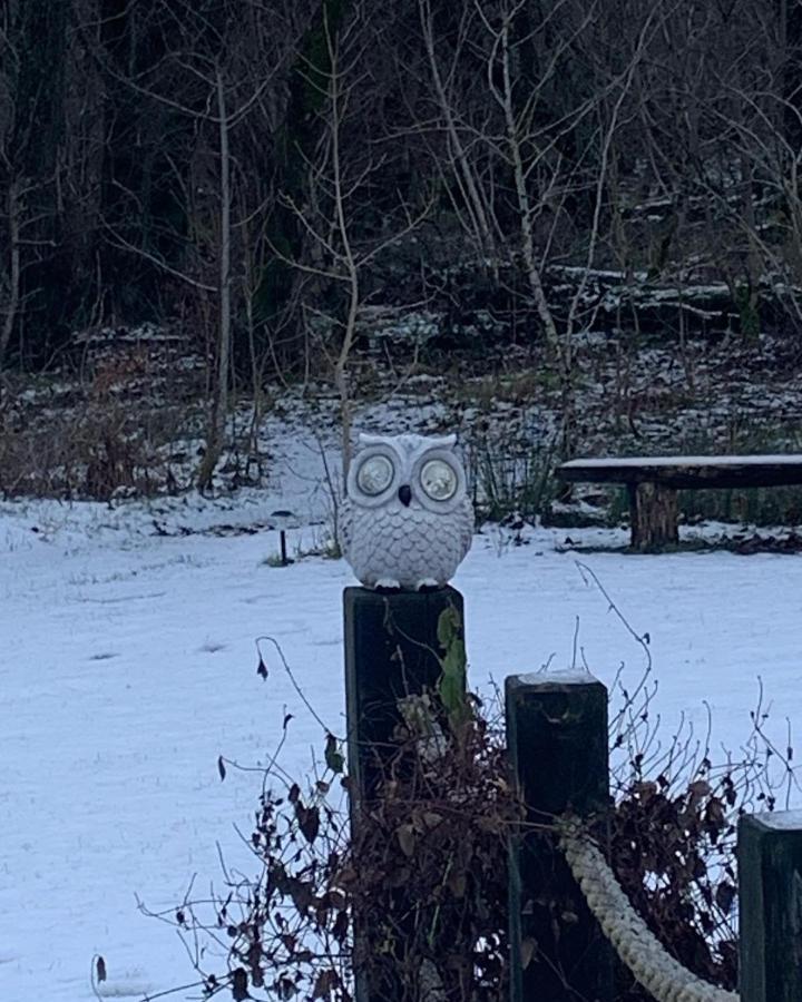 Owlswood Apartments Edinbane Zewnętrze zdjęcie