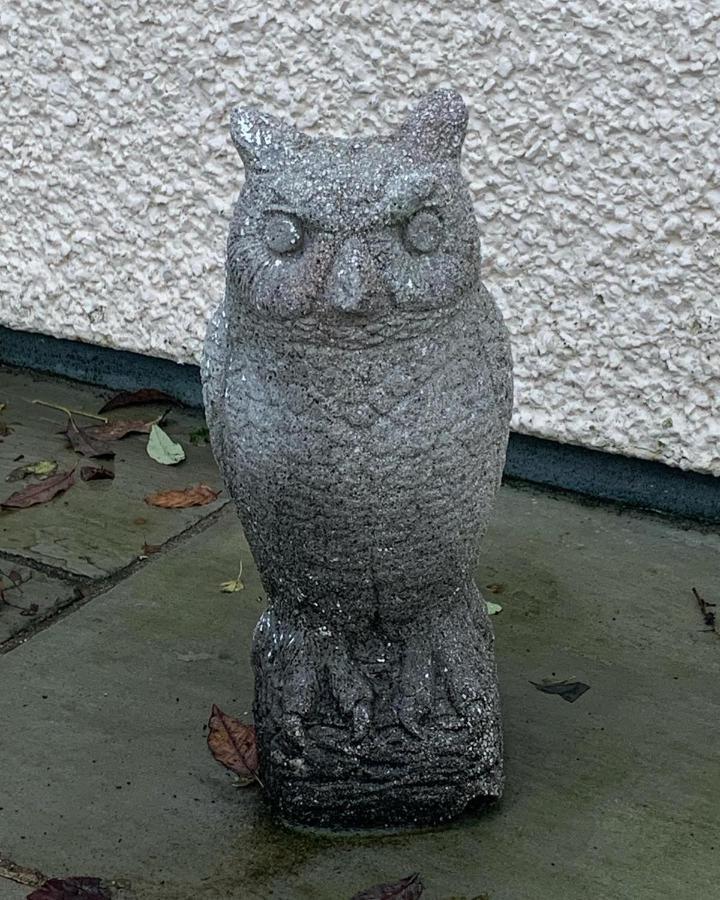 Owlswood Apartments Edinbane Zewnętrze zdjęcie